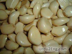 garlic Urdu Meaning