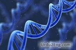 gene Urdu Meaning