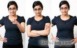 gesture Urdu Meaning