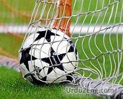 goal Urdu Meaning