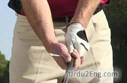 grip Urdu Meaning