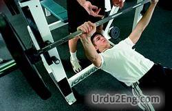 grip Urdu Meaning