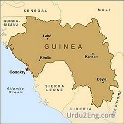 guinea Urdu Meaning