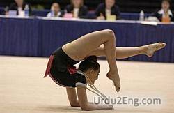 gymnastic Urdu Meaning
