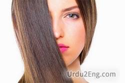 hair Urdu Meaning