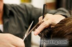 haircut Urdu Meaning