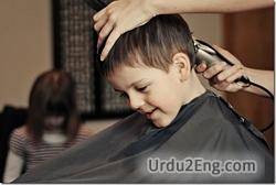 hairdresser Urdu Meaning