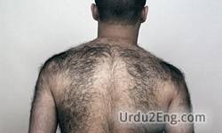 hairy Urdu Meaning