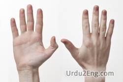 hand Urdu Meaning