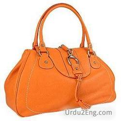 handbag Urdu Meaning