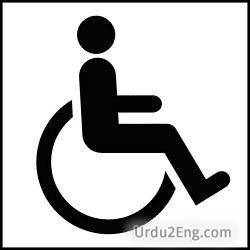 handicap Urdu Meaning