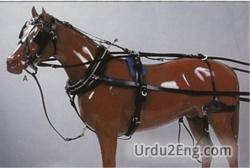 harness Urdu Meaning