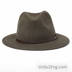 hat Urdu Meaning