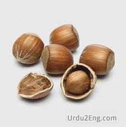 hazel Urdu Meaning