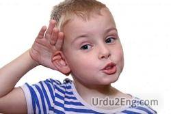 hear Urdu Meaning