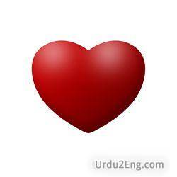 heart Urdu Meaning