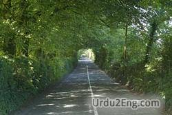 hedgerow Urdu Meaning