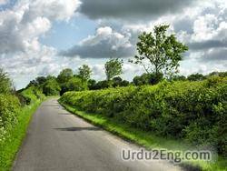 hedgerow Urdu Meaning