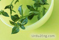 herb Urdu Meaning