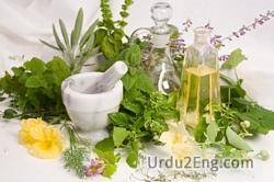 herbal Urdu Meaning