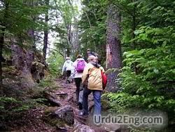 hike Urdu Meaning