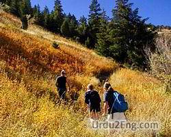 hike Urdu Meaning
