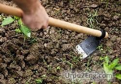 hoe Urdu Meaning