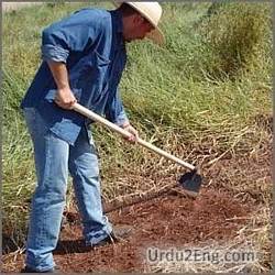 hoe Urdu Meaning