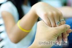hold Urdu Meaning