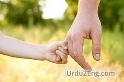 hold Urdu Meaning