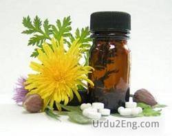 homeopathy Urdu Meaning