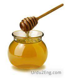 honey Urdu Meaning