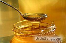 honey Urdu Meaning