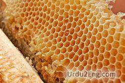 honey Urdu Meaning