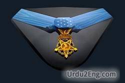 honor Urdu Meaning