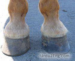 hoof Urdu Meaning