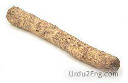 horseradish Urdu Meaning