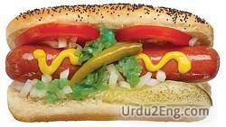 hotdog Urdu Meaning