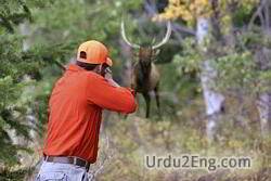 hunt Urdu Meaning