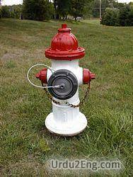 hydrant Urdu Meaning