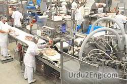 industry Urdu Meaning