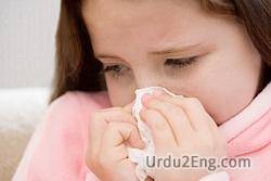 influenza Urdu Meaning