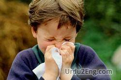 influenza Urdu Meaning