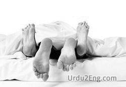 intercourse Urdu Meaning