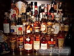 intoxicant Urdu Meaning