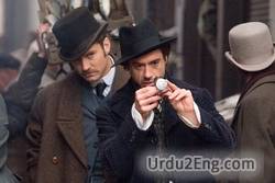 investigator Urdu Meaning