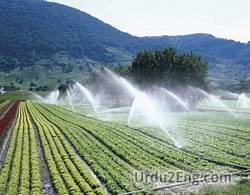 irrigation Urdu Meaning