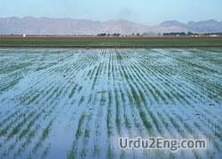 irrigation Urdu Meaning