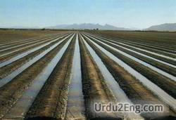 irrigation Urdu Meaning