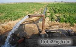 irrigation Urdu Meaning